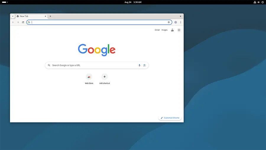 google chrome on linux debian