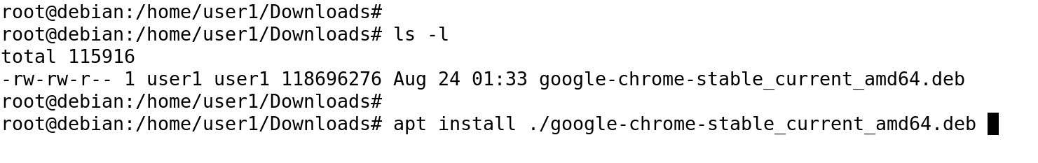install chrome debian 13