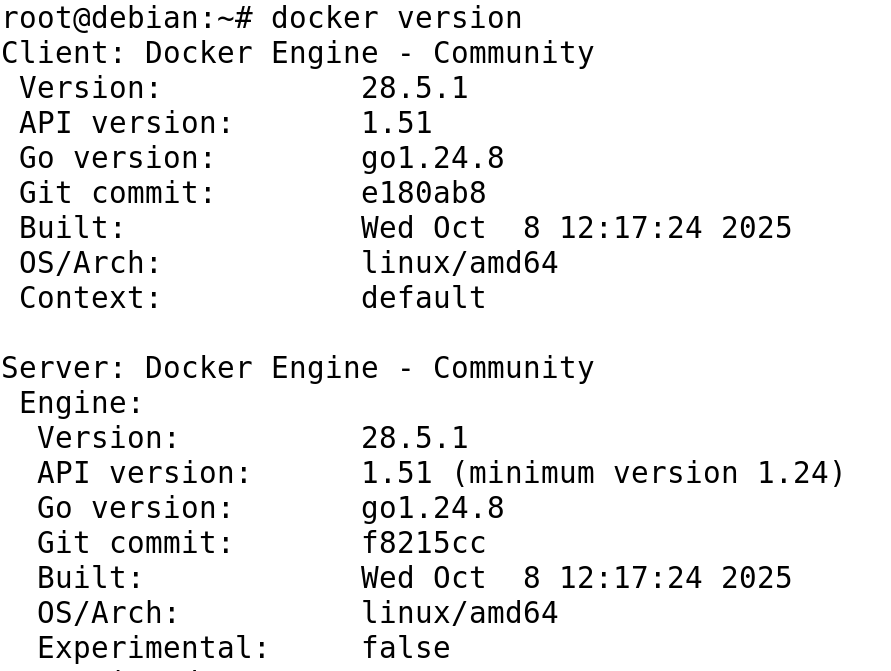 check docker version