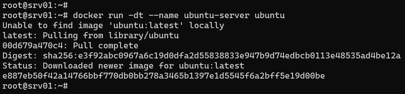 Start new Ubuntu container.