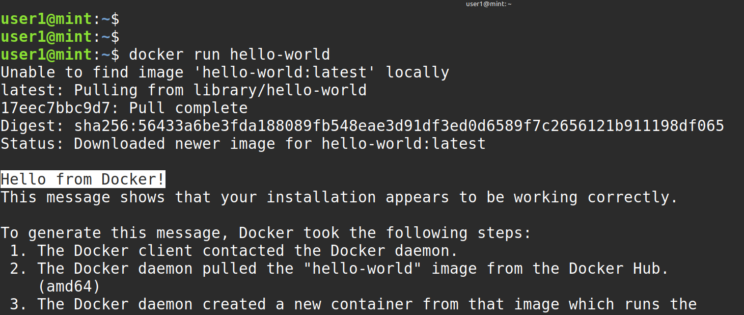 run docker containers on Linux mint