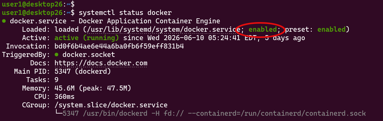 status of the Docker engine