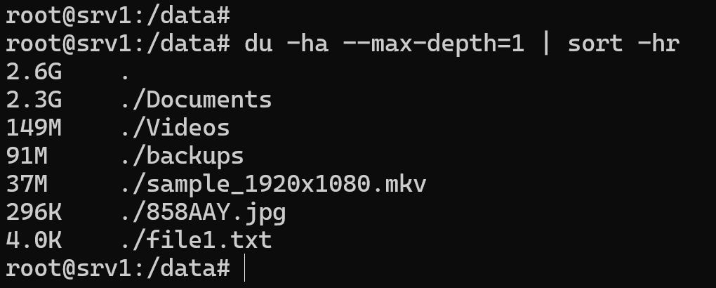 check folder size linux