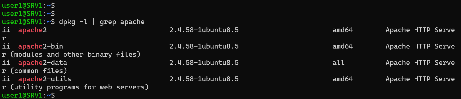 ubuntu list installed packages
