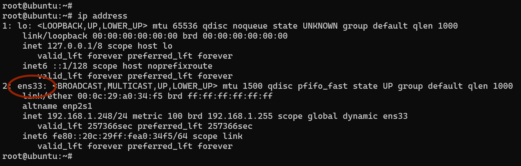 Identify the Network Interface