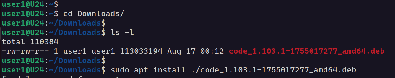 Install Visual Studio Code 24