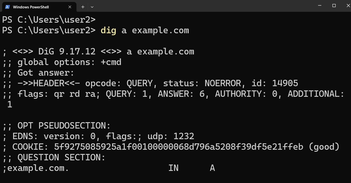 dig command on windows