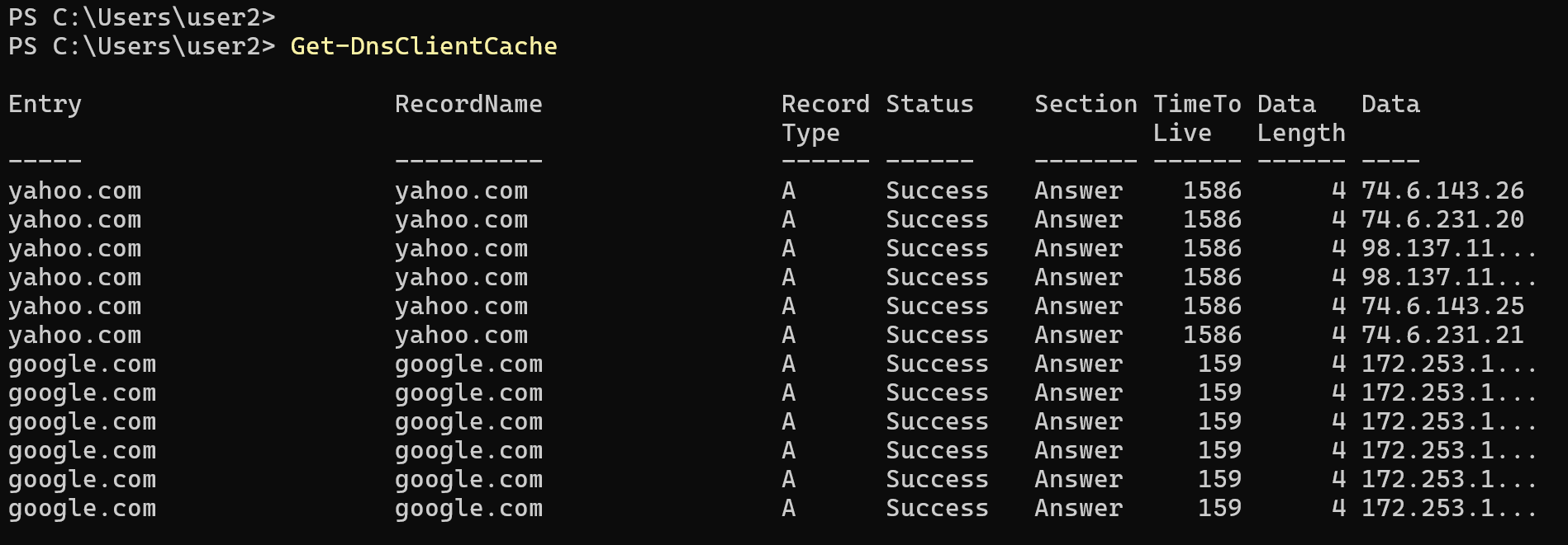 Display DNS Cache in Windows PowerShell