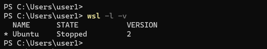 We have a single Ubuntu distribution running on WSL 2.